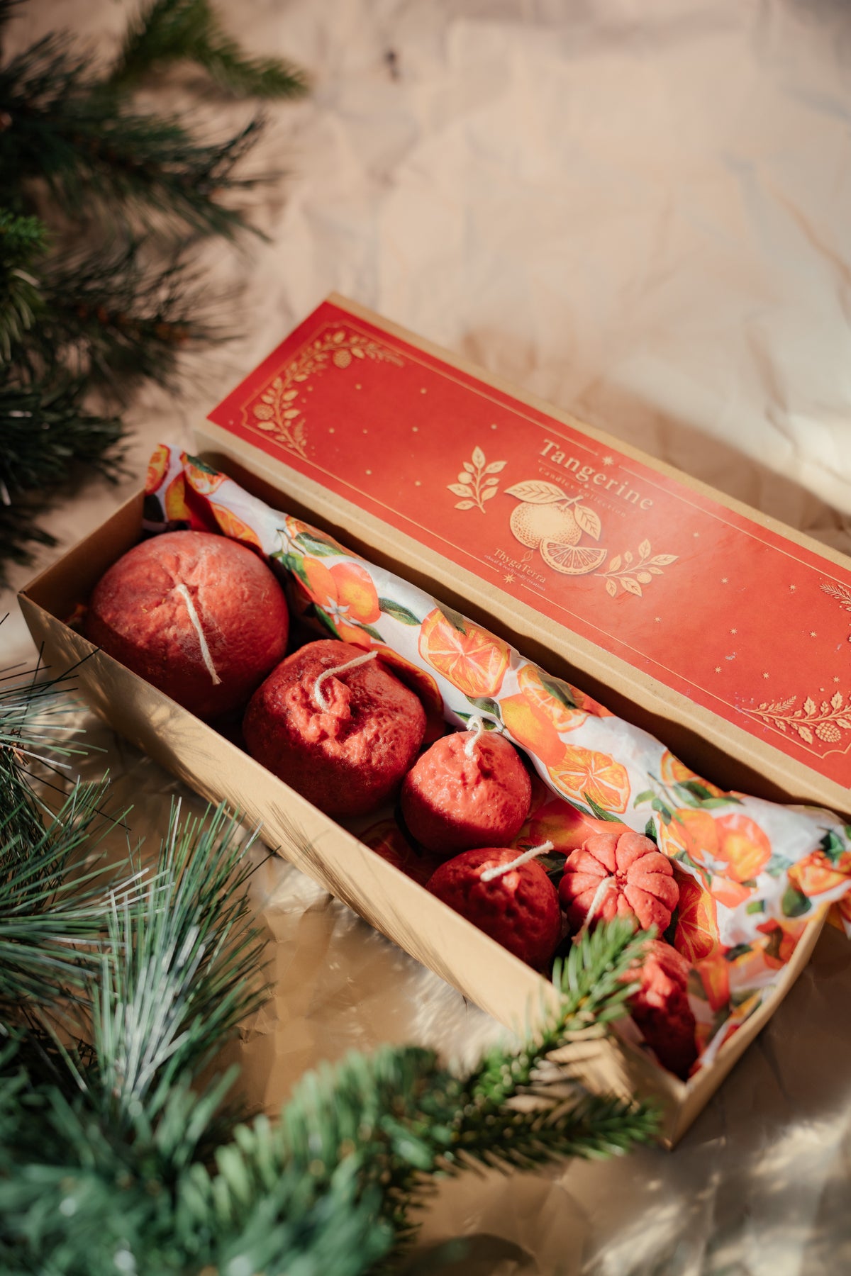 The Tangerine Collection